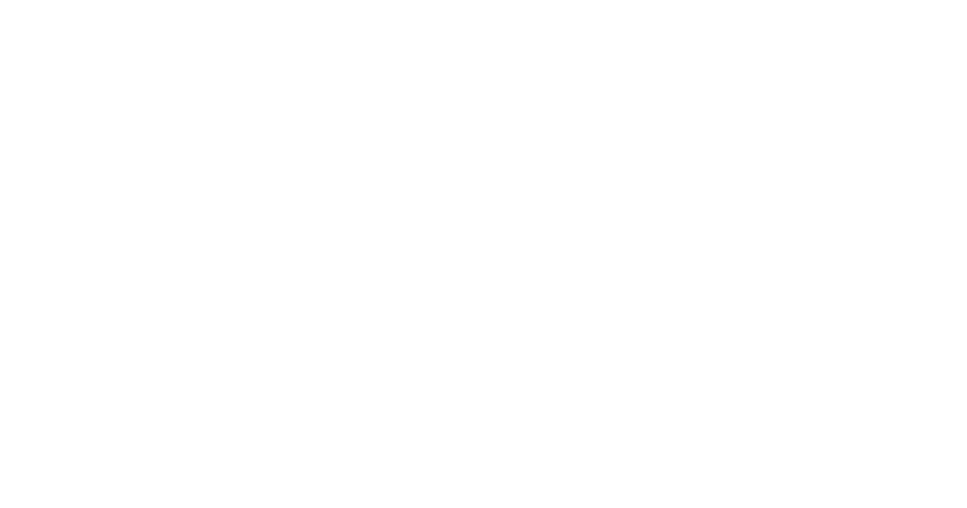 Trip Comfort Tours